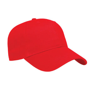 X300 - Cap America x series value 6 panel cap $10.75 - promotional products - ( price includes 10,000 stitch embroidered logo) minimum 48